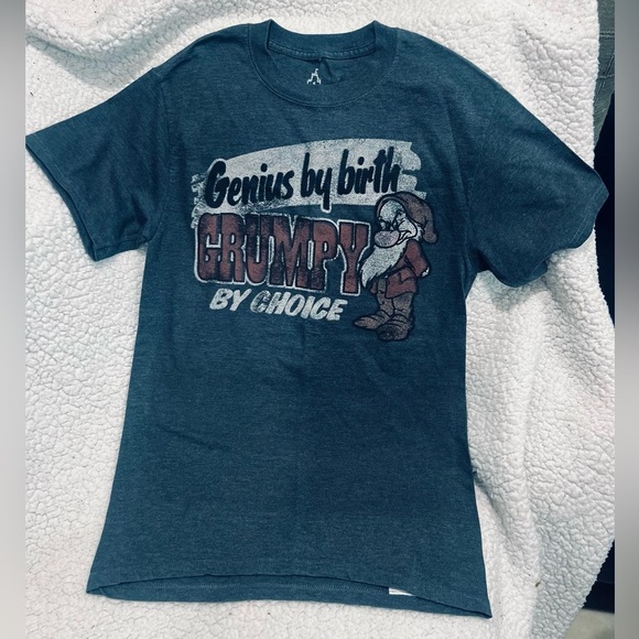 Disneyland By Hanes Genius By Birth Grumpy By Choice Gray T-Shirt Small - Picture 1 of 4